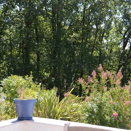 Le Reve Bed and Breakfast 3*